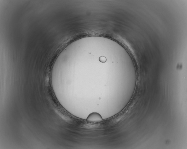 X0000097460065200802220816