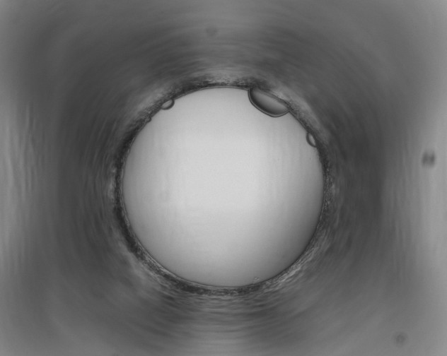 X0000097460066200802220816