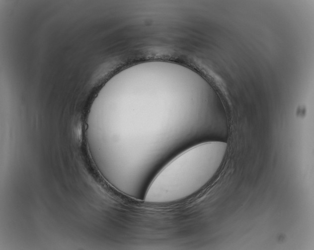 X0000097460067200802220816