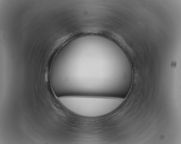 X0000097460068200802220816