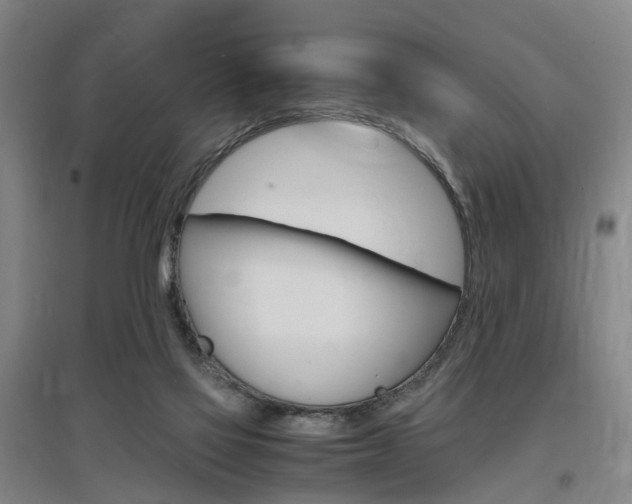 X0000097460069200802220816