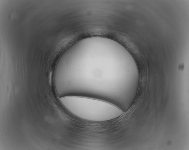 X0000097460070200802220816