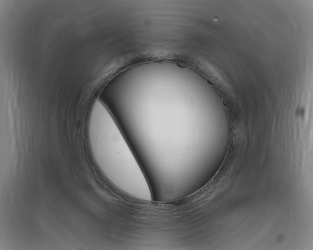 X0000097460072200802220816