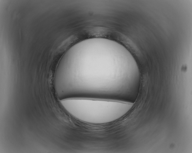 X0000097460073200802220816