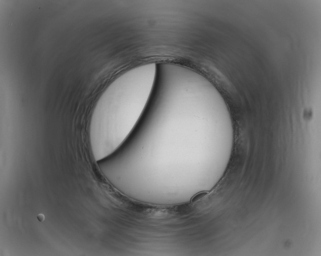 X0000097460074200802220816