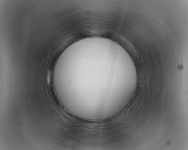 X0000097460075200802220816