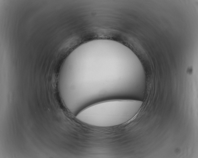 X0000097460078200802220816