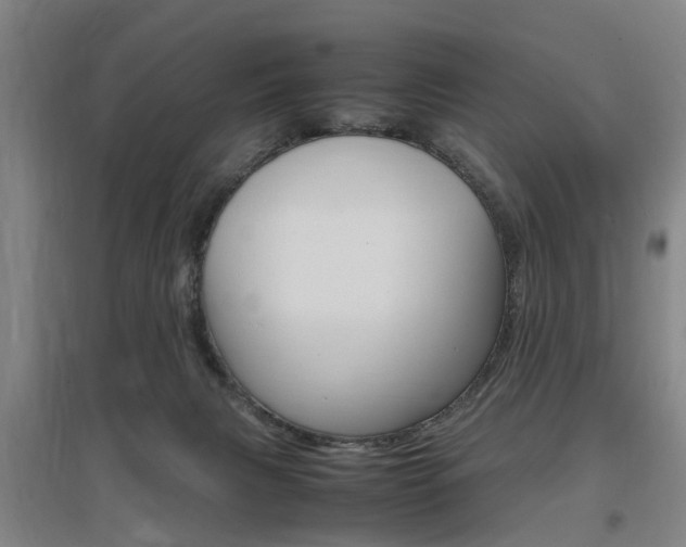 X0000097460079200802220816