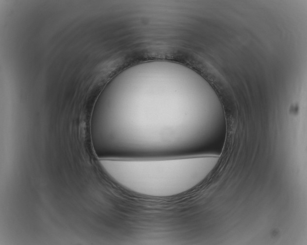 X0000097460080200802220816