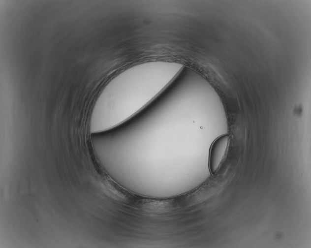 X0000097460081200802220816