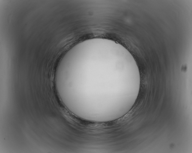 X0000097460082200802220816