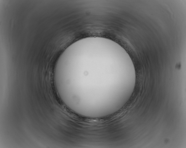 X0000097460083200802220816