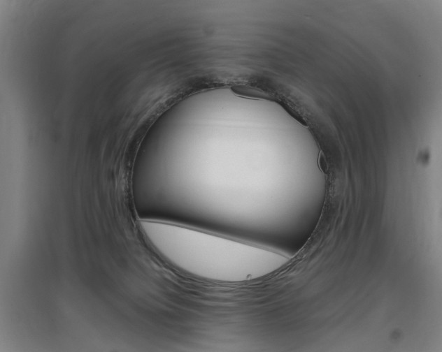 X0000097460084200802220816