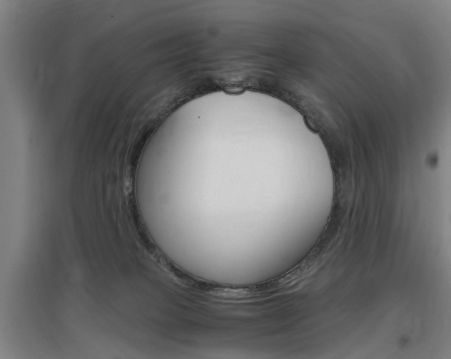 X0000097460085200802220816