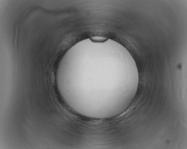 X0000097460086200802220817