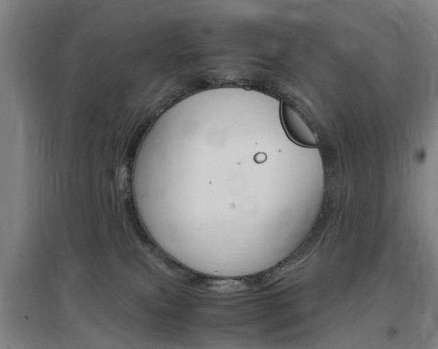 X0000097460087200802220817