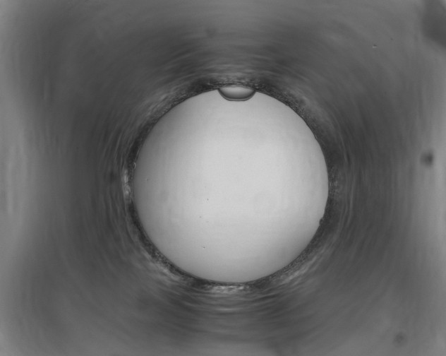 X0000097460089200802220817