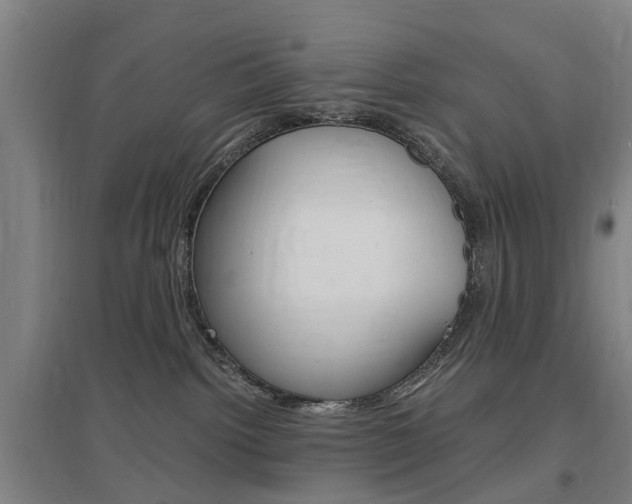 X0000097460092200802220817