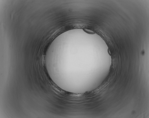 X0000097460093200802220817