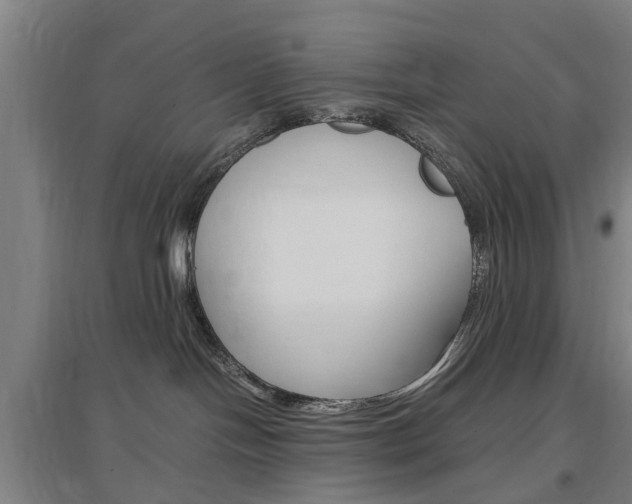 X0000097460094200802220817