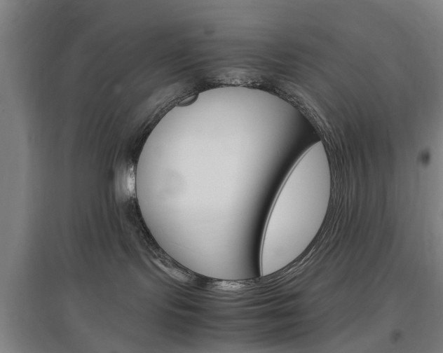 X0000097460095200802220817