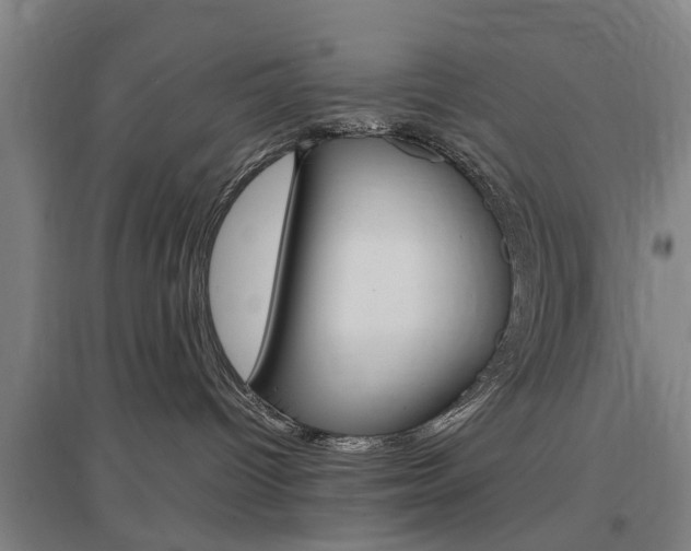 X0000097460096200802220817