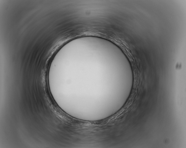 X0000097460098200802220816