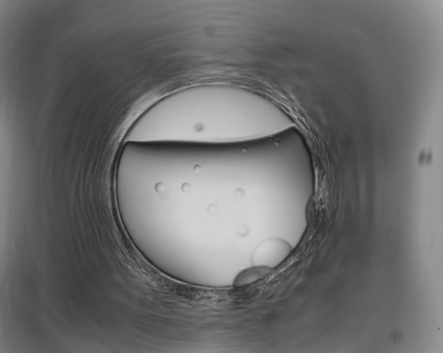 X0000097460099200802220816