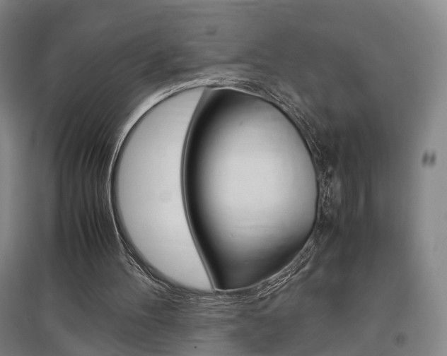 X0000097460100200802220816