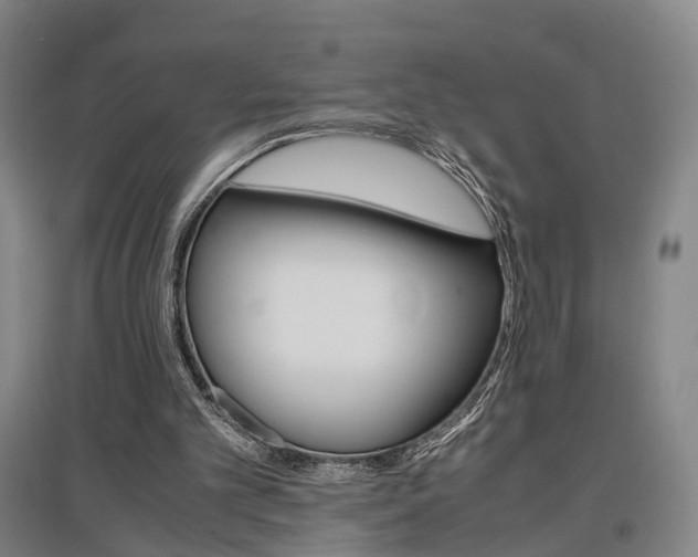 X0000097460101200802220816