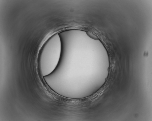 X0000097460102200802220816