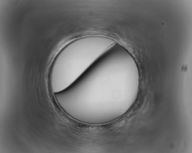 X0000097460103200802220816