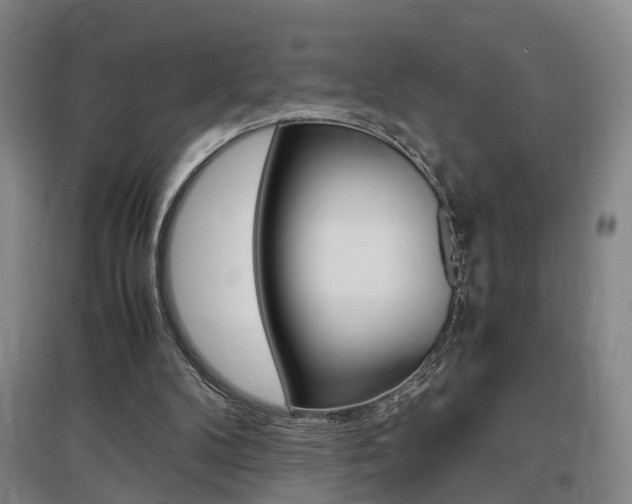 X0000097460104200802220816