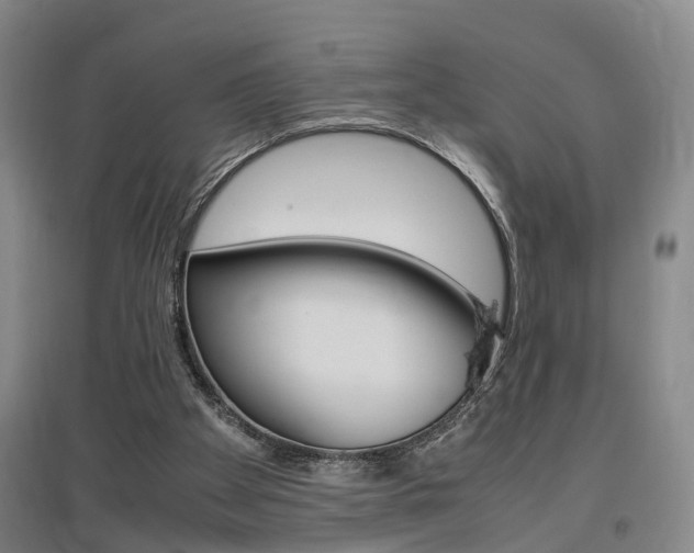 X0000097460105200802220816