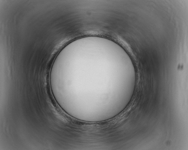 X0000097460106200802220816