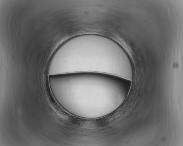 X0000097460107200802220816