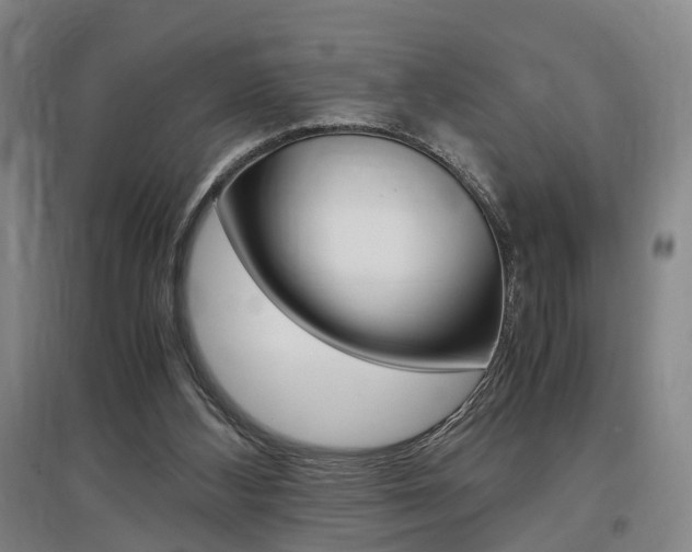 X0000097460108200802220816