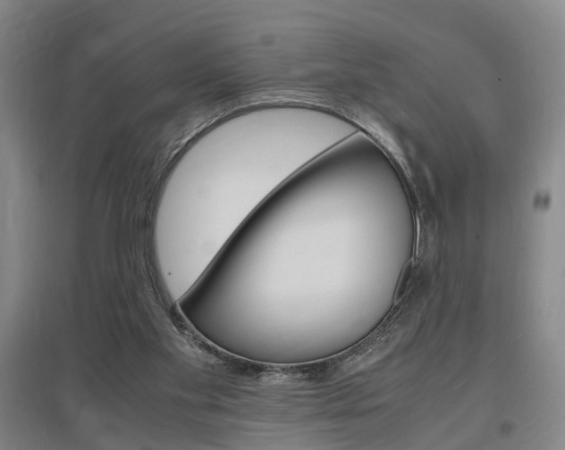 X0000097460109200802220816