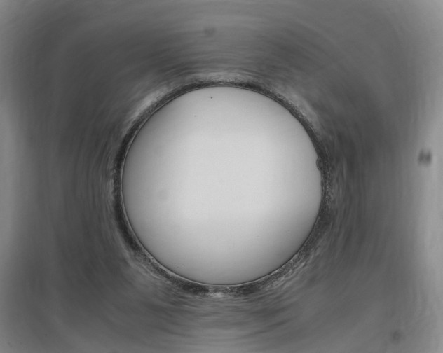 X0000097460111200802220816