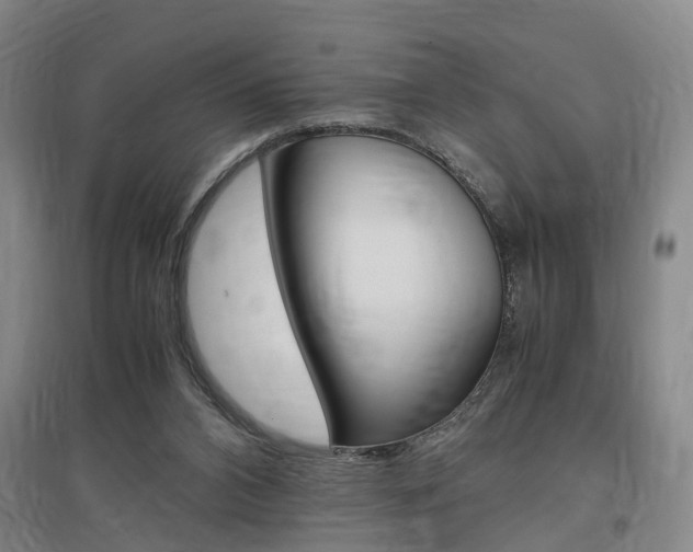 X0000097460112200802220816