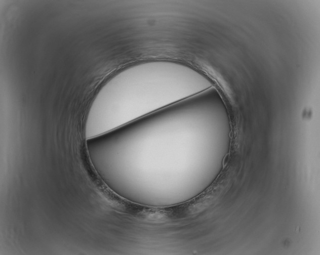X0000097460113200802220816