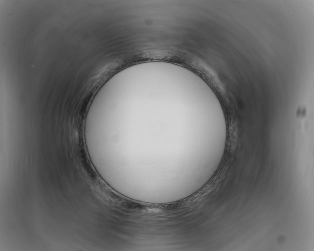 X0000097460114200802220816