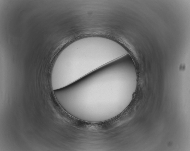 X0000097460115200802220816