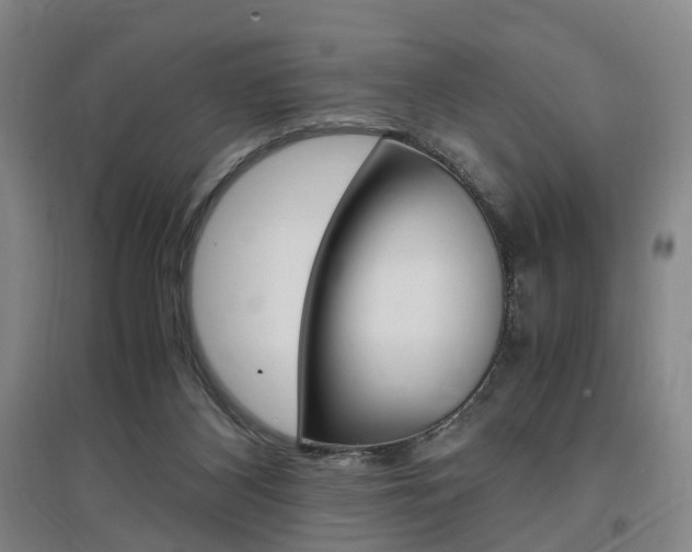 X0000097460116200802220816