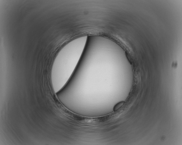 X0000097460117200802220816