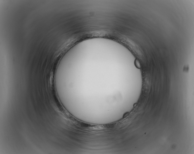 X0000097460118200802220816
