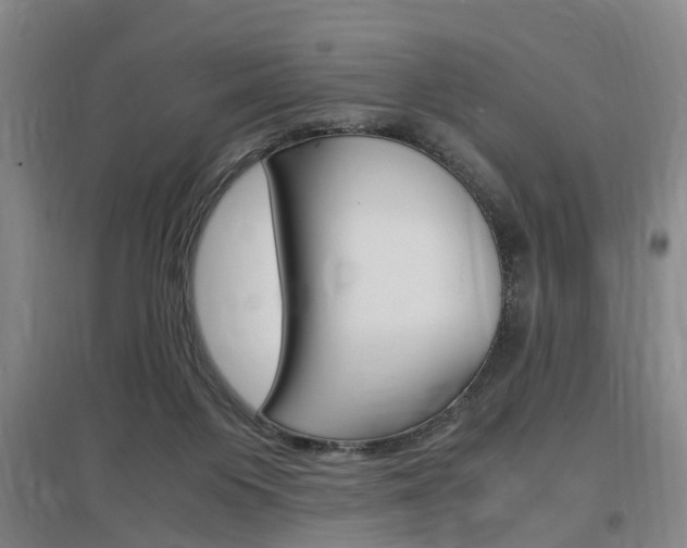 X0000097460119200802220816