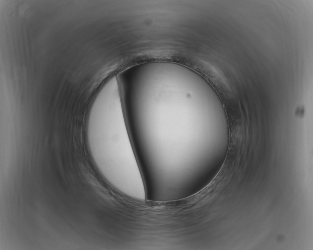 X0000097460120200802220816
