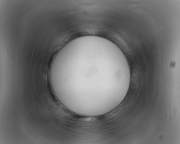 X0000097460122200802220816