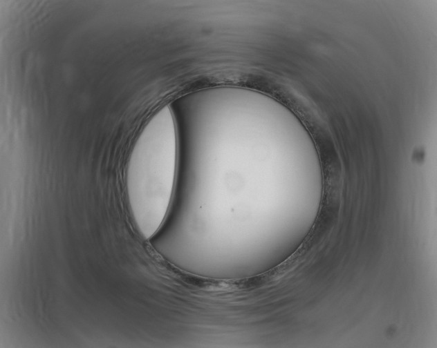 X0000097460125200802220816